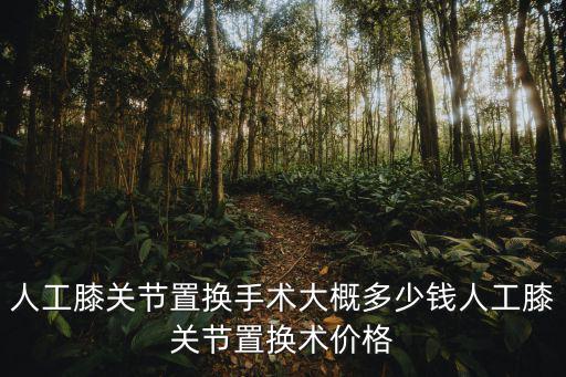 合肥省立醫院膝關節置換術多少錢,人工膝關節置換術價格
