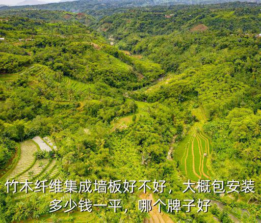 竹木纖維集成墻板好不好，大概包安裝多少錢一平，哪個牌子好
