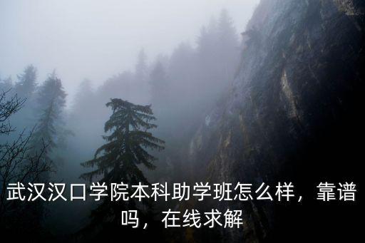 武漢漢口學院到底怎么樣,漢口學院怎么樣