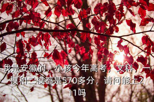 安徽模擬高考本科線是多少,預計安徽一本線是多少