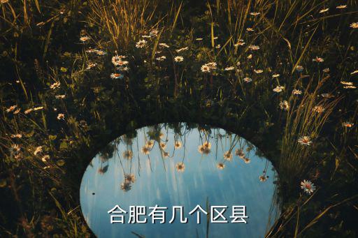 合肥有幾個區縣