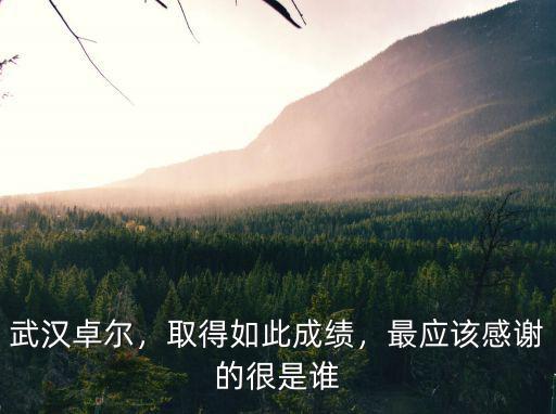 武漢卓爾成績怎么樣,武漢卓爾在中超前景怎么樣