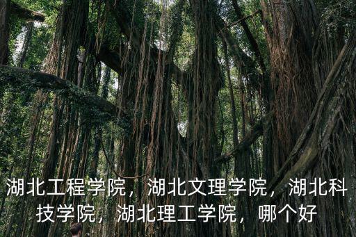 湖北文理學院理工學院這個學校怎么樣,湖北文理學院