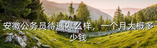 合肥公務員科員退休工資多少錢,合肥地區基層公務員
