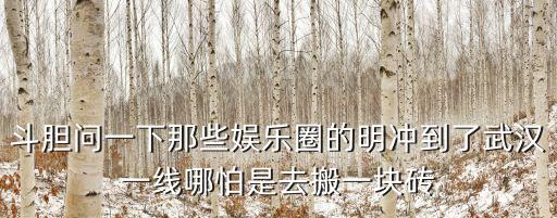 斗膽問一下那些娛樂圈的明沖到了武漢一線哪怕是去搬一塊磚