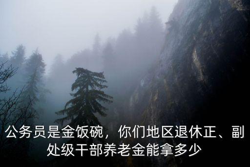 公務員是金飯碗，你們地區退休正、副處級干部養老金能拿多少