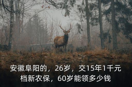 阜陽農村年收入一般多少錢,你知道農村人年收入多少錢嗎