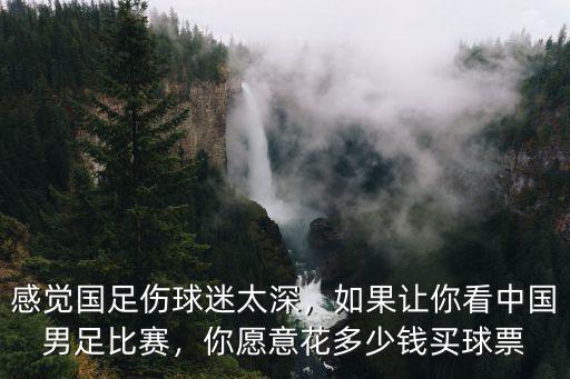 石家莊足球比賽門票多少錢,你愿意花多少錢買球票