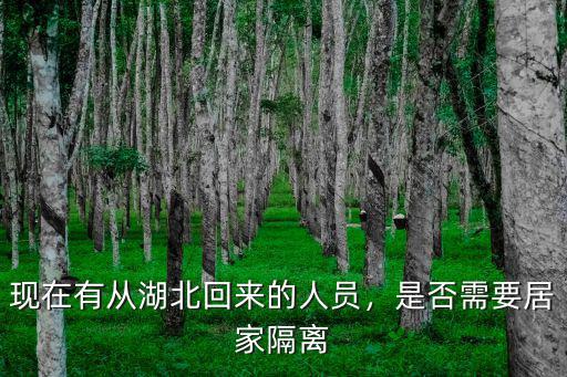 馬鞍山市有多少人從湖北回來的,現在有從湖北回來的人員
