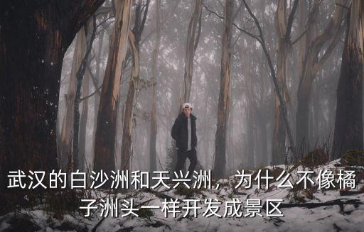 武漢的白沙洲和天興洲，為什么不像橘子洲頭一樣開發成景區