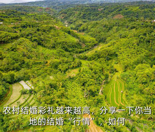 農村結婚彩禮越來越高，分享一下你當地的結婚“行情”，如何