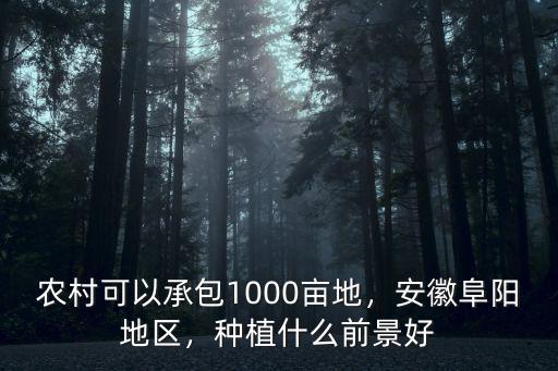 安徽有多少畝藥材種植基地,我有十來畝荒山種什么藥材好