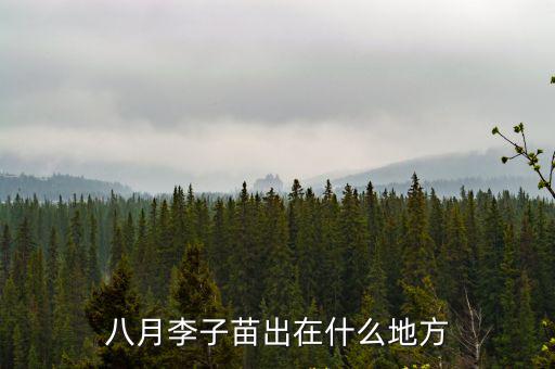 德陽通江李子在哪里,在四川哪里盛產李子