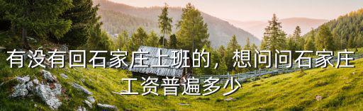 麥當勞正式工月薪多少石家莊,想問問石家莊工資普遍多少