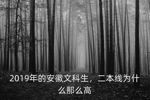2019年的安徽文科生，二本線為什么那么高