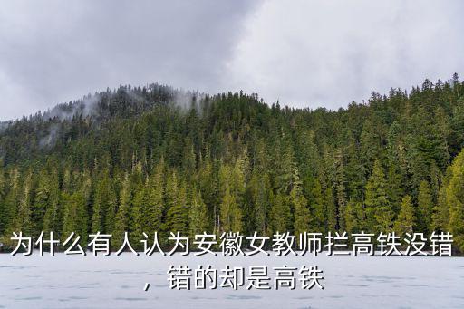 安徽女子攔高鐵是多少號,安徽攔高鐵等老公事件后續