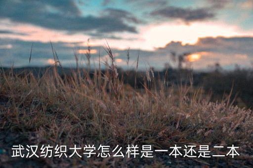 武漢紡織大學(xué)工資待遇怎么樣,武漢紡織大學(xué)怎么樣