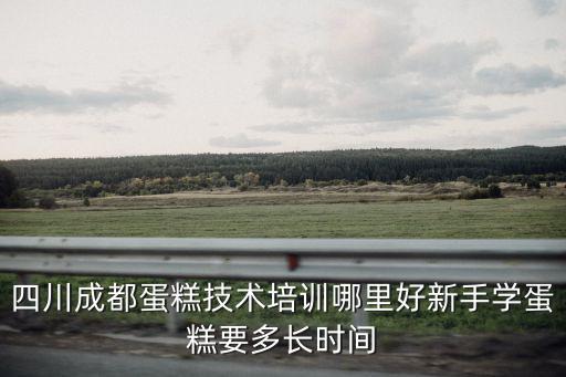 成都學蛋糕哪里好,四川成都蛋糕技術培訓哪里好