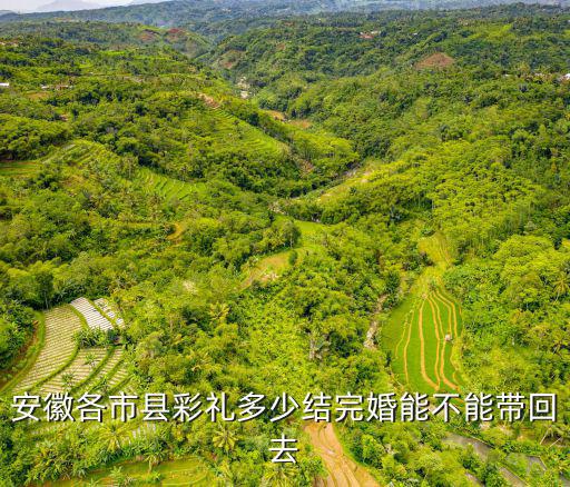 嫁到安徽渦陽彩禮多少,安徽各市縣彩禮多少