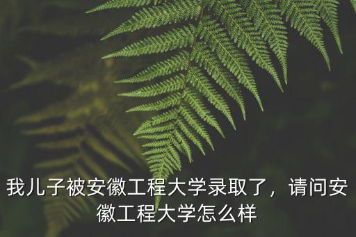 安徽工程大學(xué)今年招生多少,安徽工程大學(xué)全國(guó)排名多少