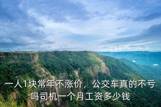 一人1塊常年不漲價，公交車真的不虧嗎司機一個月工資多少錢
