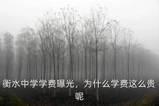 衡水中學學費曝光，為什么學費這么貴呢