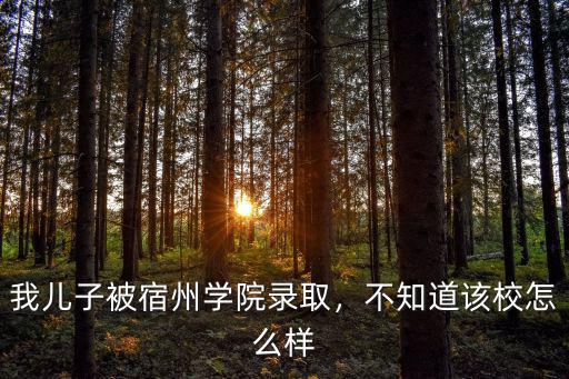 我兒子被宿州學院錄取，不知道該校怎么樣