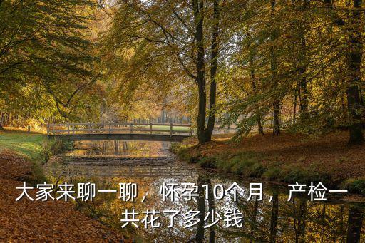 南陽產檢都花多少錢一次,產檢一共花了多少錢