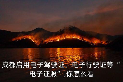 成都電子駕照在哪里看,成都上線電子駕照