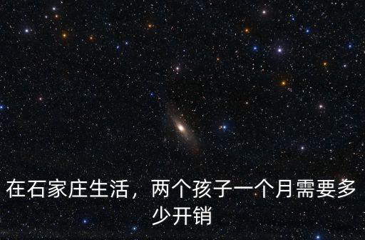 石家莊雇個看孩子的多少錢一個月多少錢,兩個孩子一個月需要多少開銷