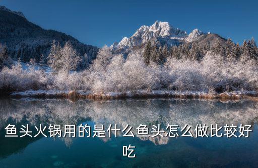 綿陽魚頭火鍋哪里好吃,魚頭火鍋用的是什么魚頭