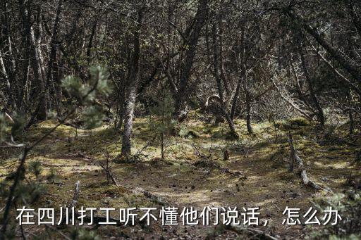 在四川打工聽不懂他們說話，怎么辦