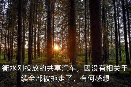 衡水剛投放的共享汽車，因沒有相關(guān)手續(xù)全部被拖走了，有何感想