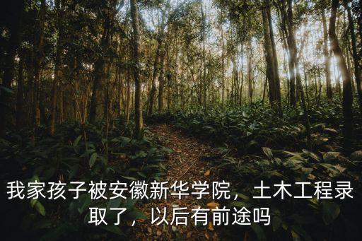 安徽新華學院專升本要多少分,安徽新華學院怎么樣