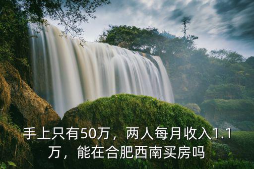手上只有50萬，兩人每月收入1.1萬，能在合肥西南買房嗎