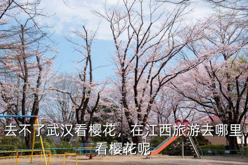 去不了武漢看櫻花，在江西旅游去哪里看櫻花呢
