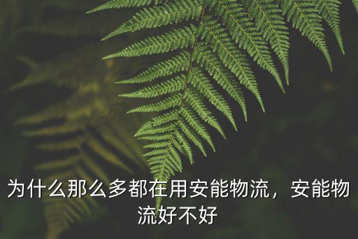 達州安能物流在哪里,為什么那么多都在用安能物流