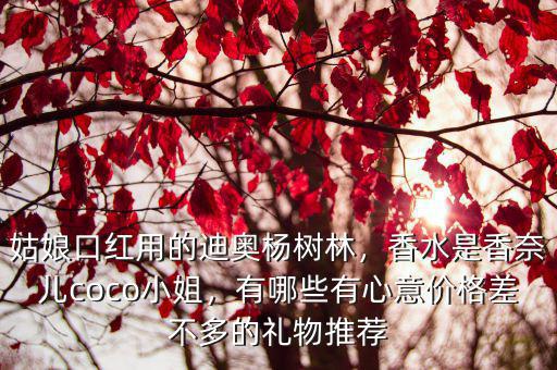 姑娘口紅用的迪奧楊樹林，香水是香奈兒coco小姐，有哪些有心意價格差不多的禮物推薦