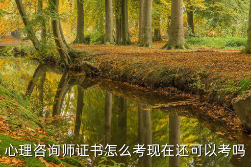 十堰心理健康咨詢師證書怎么考,心理咨詢師證書怎么考