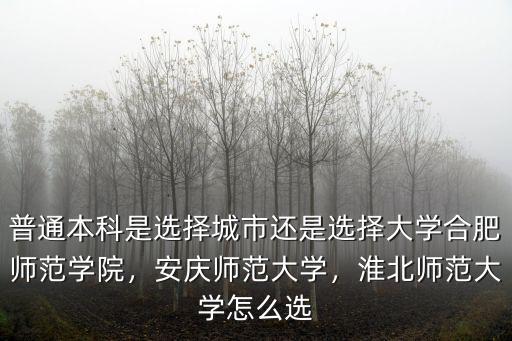 普通本科是選擇城市還是選擇大學合肥師范學院，安慶師范大學，淮北師范大學怎么選