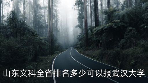 河北文科生有多少分能上武漢大學(xué),多少分能上武漢大學(xué)