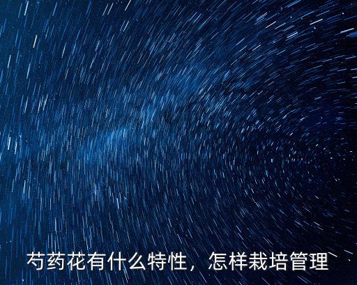 芍藥花有什么特性，怎樣栽培管理