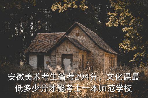安徽美術(shù)省考多少分通過,安徽美術(shù)統(tǒng)考成績272分