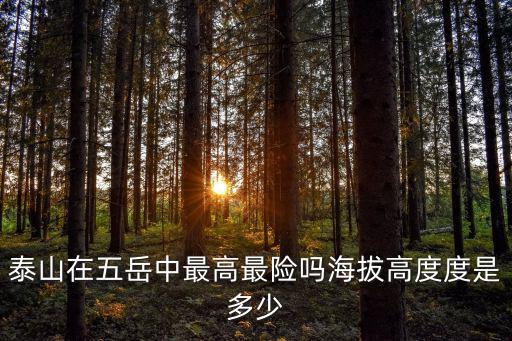 泰山在五岳中最高最險(xiǎn)嗎海拔高度度是多少