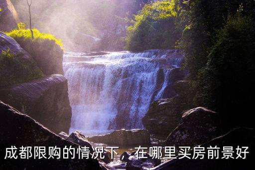 四川購房前景最好的地方在哪里,在哪里買房前景好
