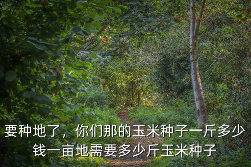 承德縣玉米多少錢一公斤,你們那的玉米種子一斤多少錢