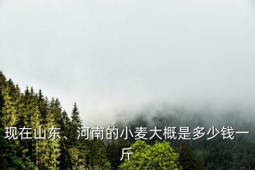 河南年產小麥多少錢,河南的小麥大概是多少錢一斤