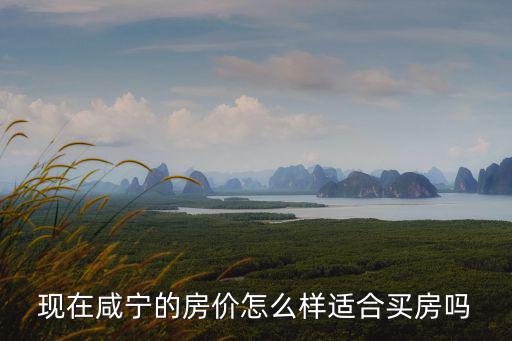 咸寧宏智怎么樣,咸寧嘉魚發展怎么樣
