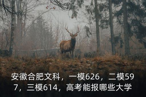 安徽合肥文科，一模626，二模597，三模614，高考能報哪些大學