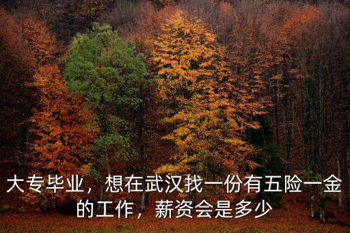 大專畢業，想在武漢找一份有五險一金的工作，薪資會是多少